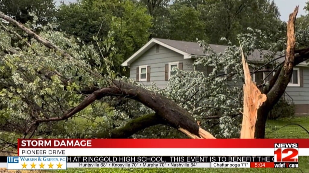 Pioneer Drive Residents Assess Damage After Storms Topple Trees