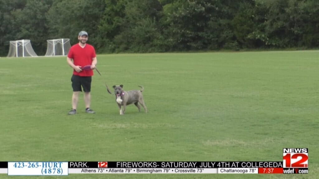 Senior Dog Adoption Inspires Local