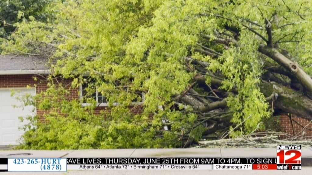 Fallen Tree Damages Lookout Valley Home During Severe Storms