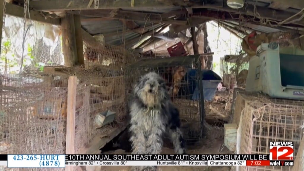 Nearly 100 Animals Rescued In Bledsoe County Hoarding Investigation