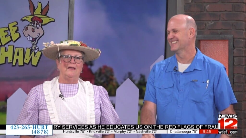 This Morning Hee Haw