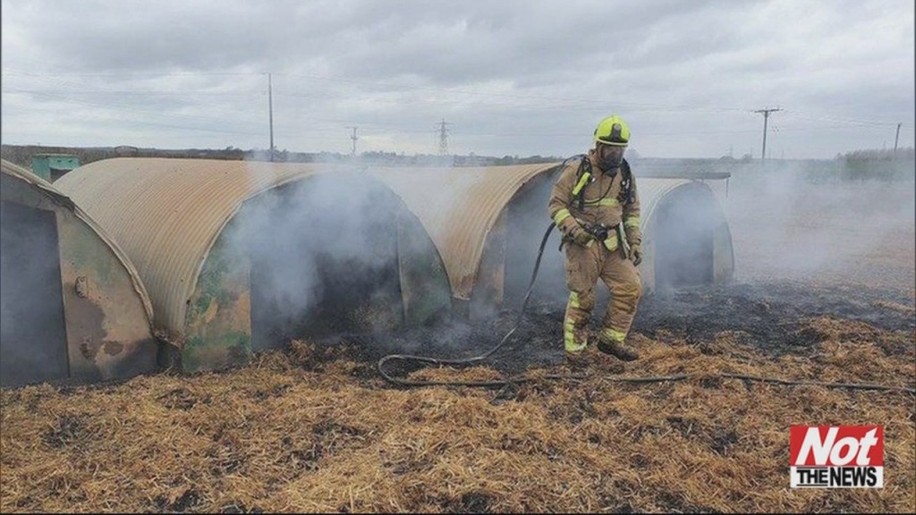 Pig Started Fire