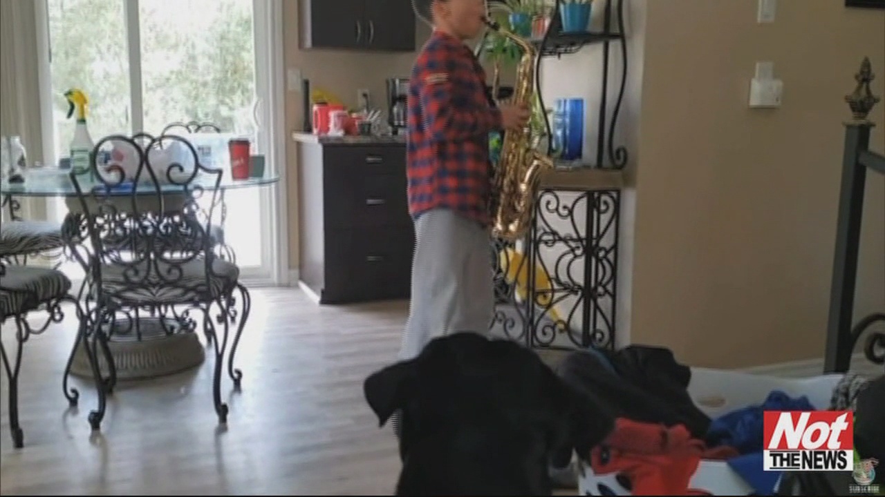 Dog Joins Saxophone Lesson WFXB