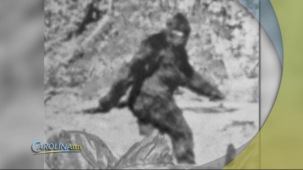 Big Foot