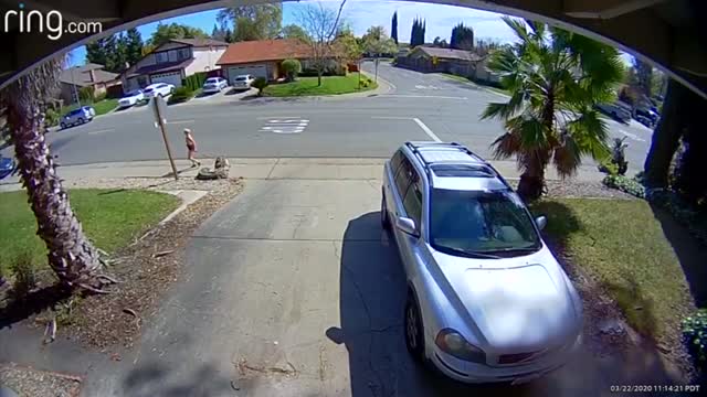 Ca: Driver Hits Jogger Walking Dog