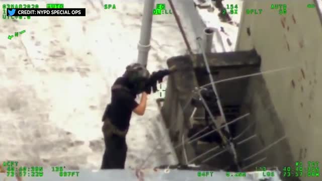 Man W/ Pellet Gun, Cameras Arrested On Rooftop