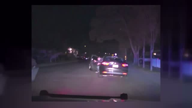 Clumsy Criminal's Escape Attempt Goes Wrong