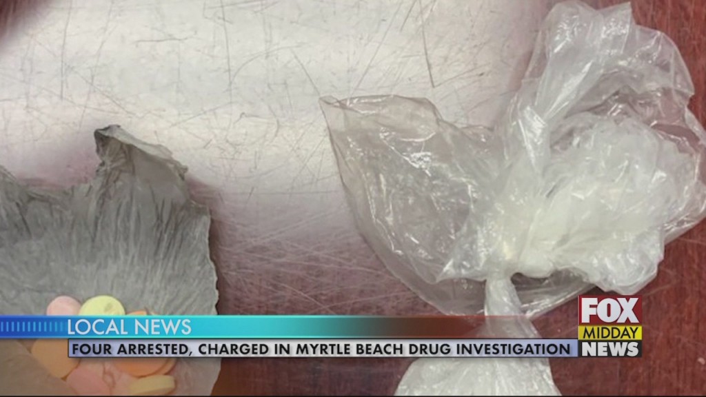 Drug Bust