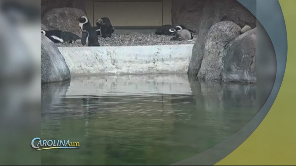 Zoos