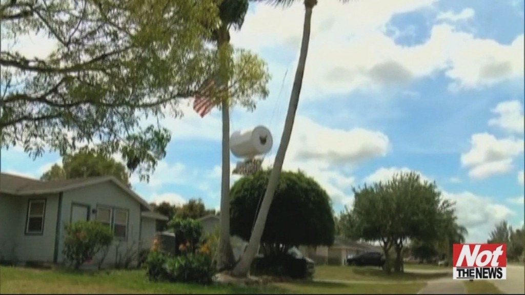 Giant Tp Roll