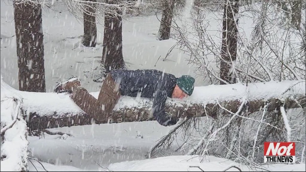 Hug A Tree