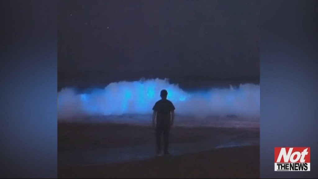 Bright Blue Water
