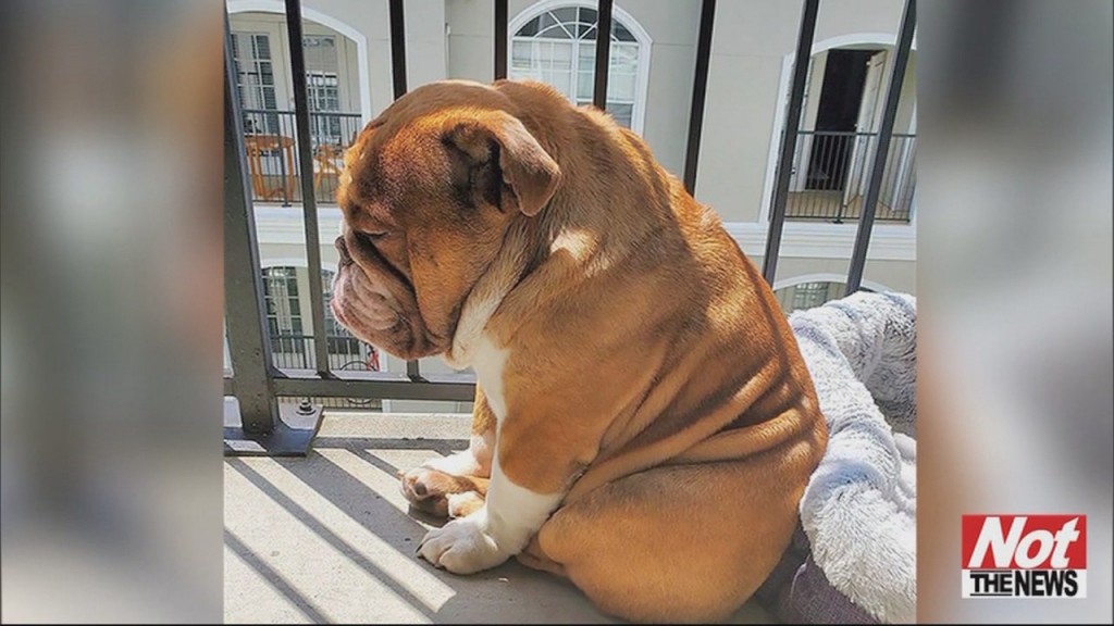 Big Poppa