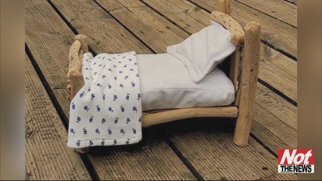 Squirrel Bed