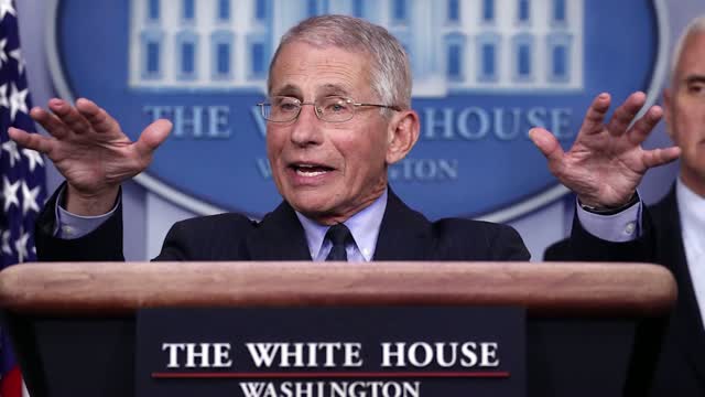 Fauci Says Entire U S Should Stay At Home