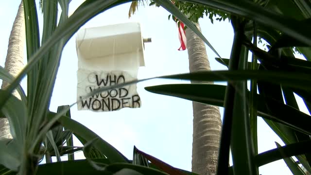 Fl: Covid: Man Hangs Giant Roll Of Tp In Front Yard