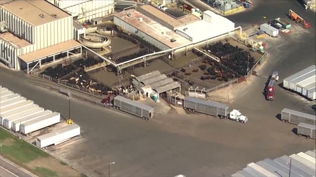 Covid: Reopen Efforts Underway, Economic Worries