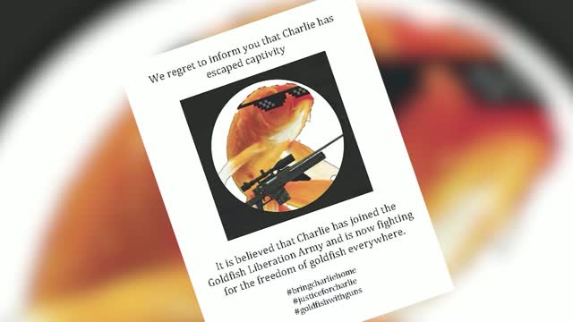 Ca: Missing Fish Sign Turns Heads, Creates Laughs