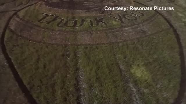 Ks: Covid "thank You" Spelled Out In Crop Field