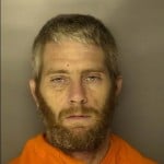 Privatte, Brandon Christopher Poss., Conceal, Sell, Or Dispose Of Stolen Vehicle
