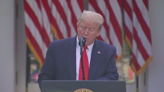 Covid: Trump Pitches Nationwide Testing Plan