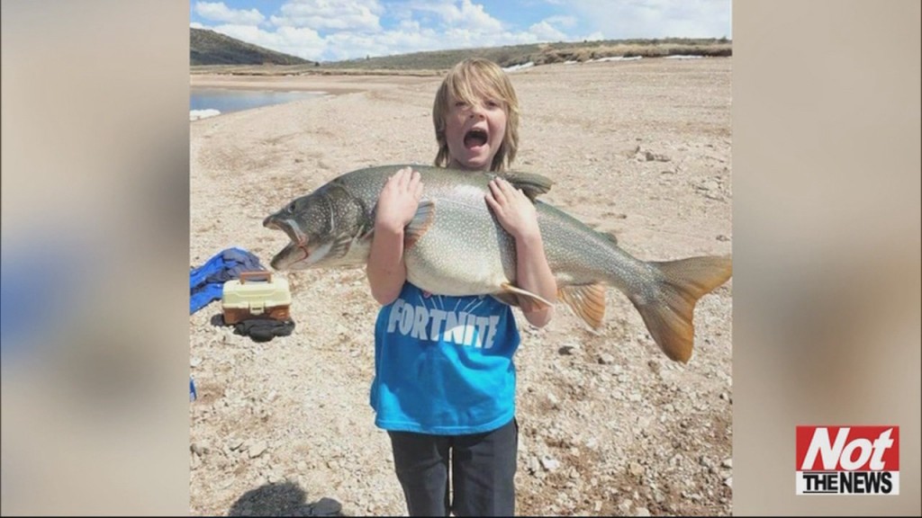 Big Fish
