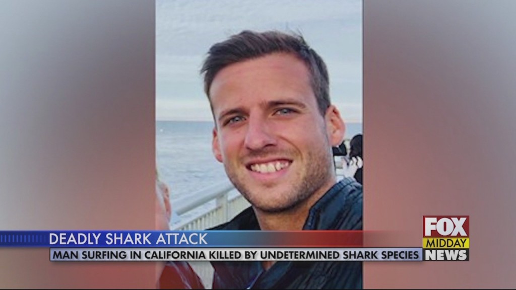 Shark Attack
