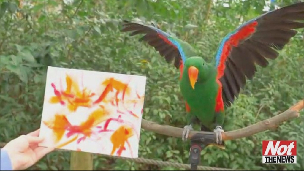 Animal Artwork