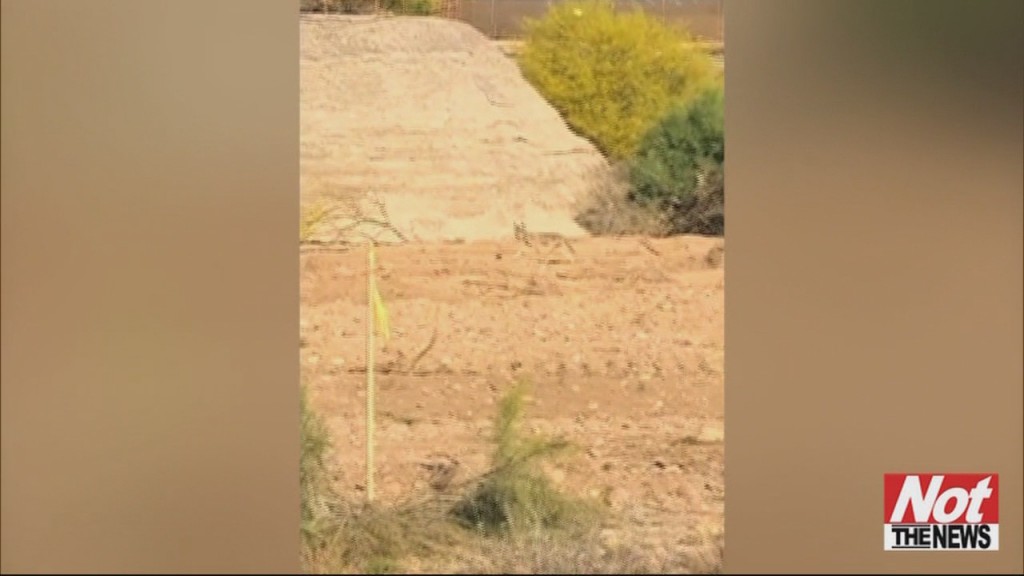 Coyote V Road Runner