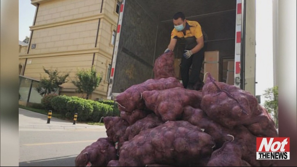Onions