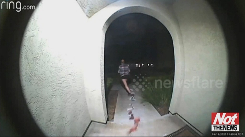 Porch Pirate