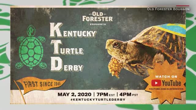 Talat The Kentucky Turtle Derby!