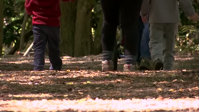 Tn: Covid: Great Smoky Mountains Natl Park Reopens