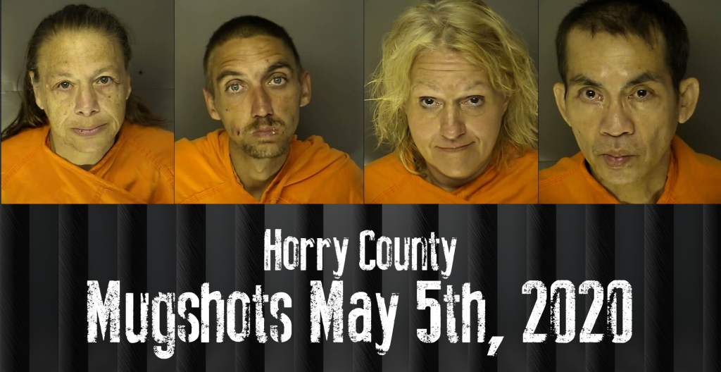 Mugshot 5 5