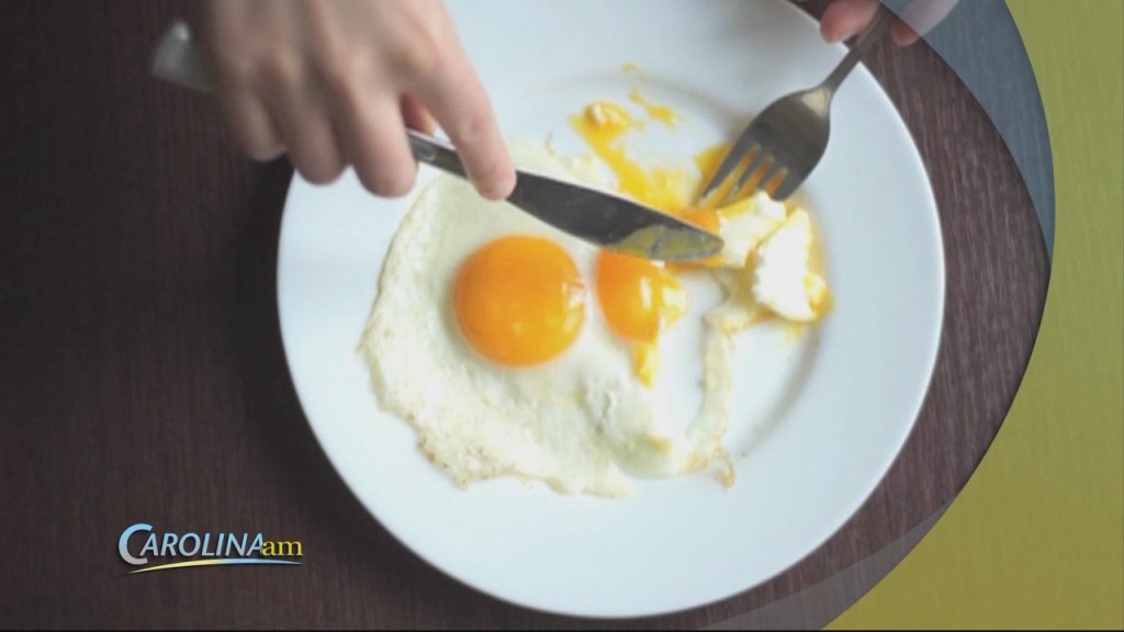 Egg Day