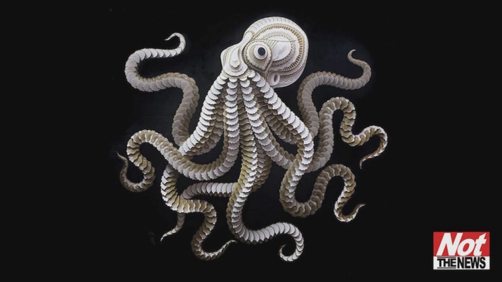 Paper Sculptures
