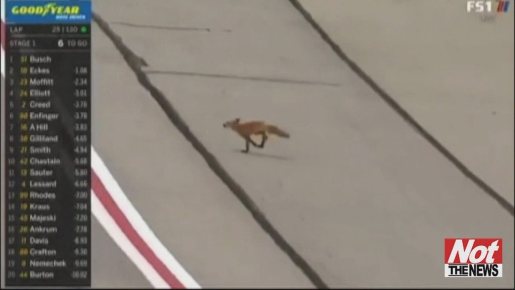 Nascar Fox