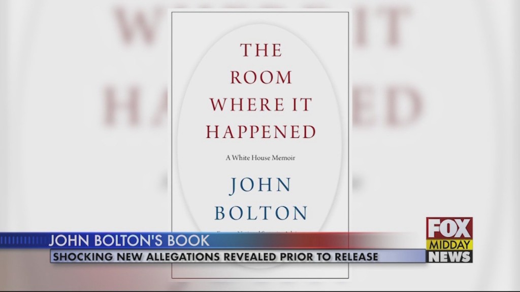 John Bolton Book
