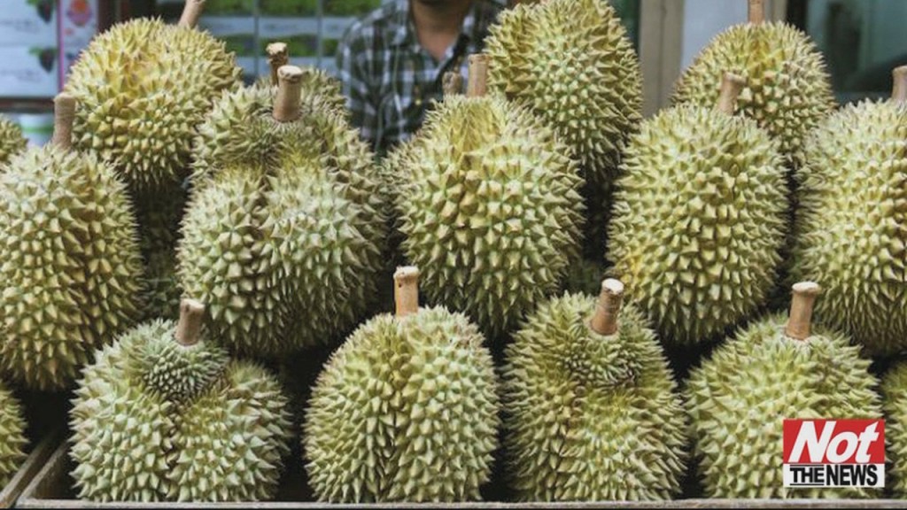 Durian Fruit