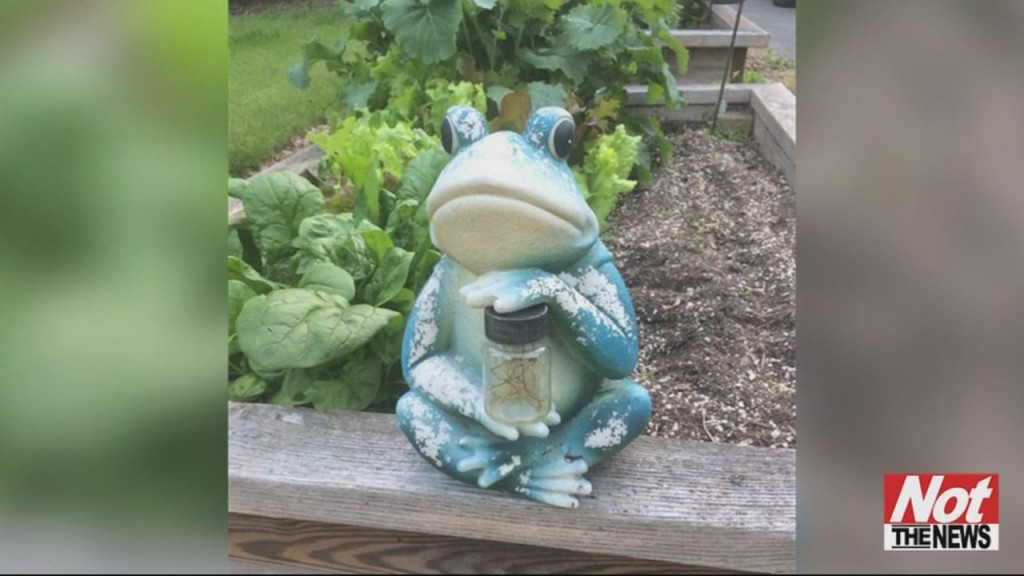 Frog Statue