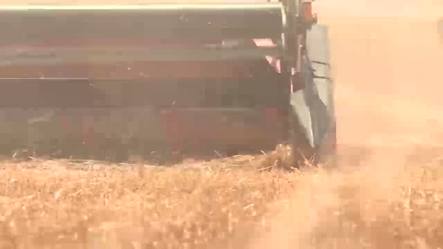 Ks: Community Helps Farmer With Cancer Harvest Crop