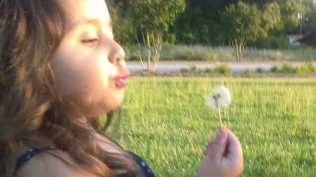 Nc: Covid: 8 Year Old Girl Dies From Complications