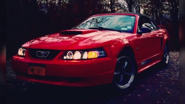 Ny: Teen Gifted Car For Cleaning Up After Protest