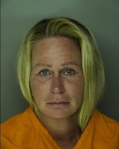 BRENNAN, COLEEN ANTONETTE - Domestic Violence 3rd Degree - WFXB