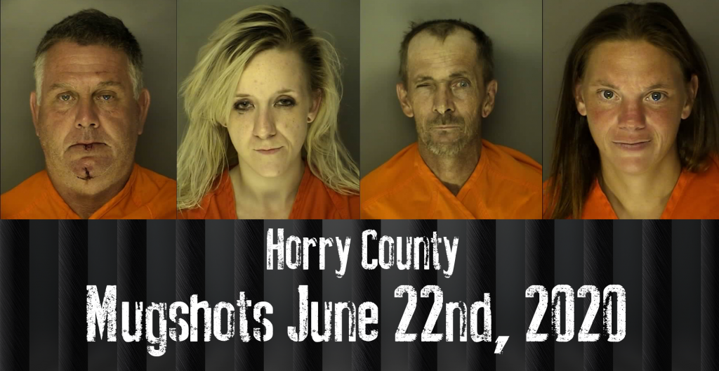 Mugshot 6 22