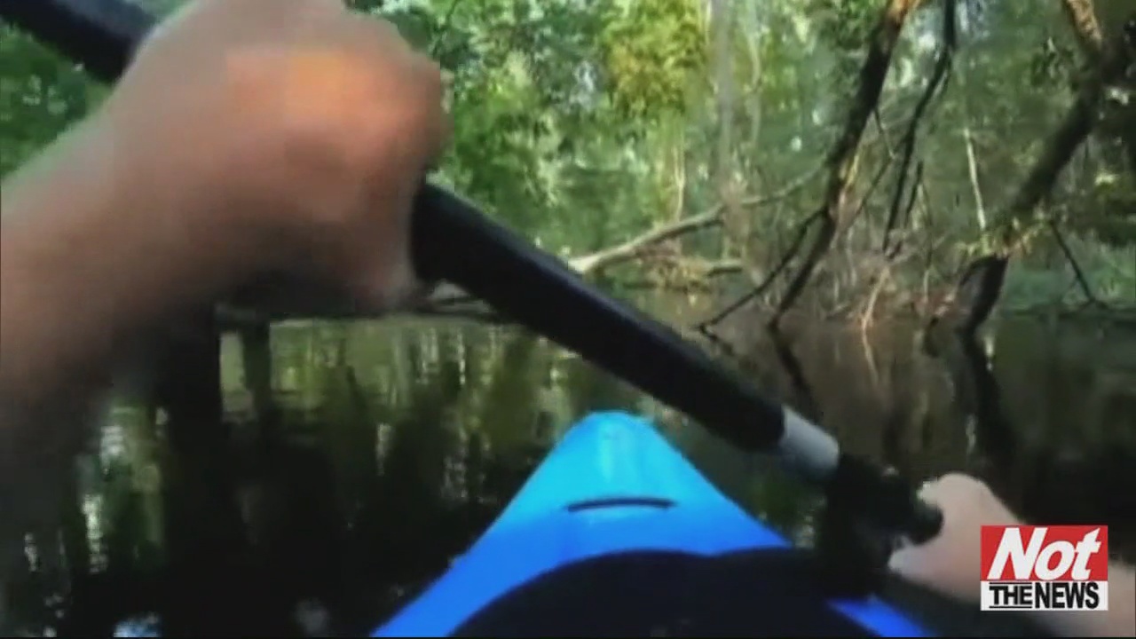 NC Kayaker's Close Encounter With An Alligator WFXB