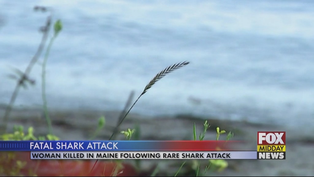 Shark Attack
