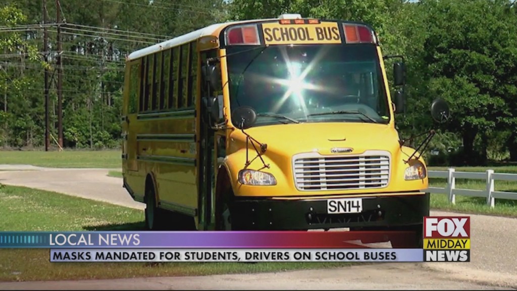 School Bus
