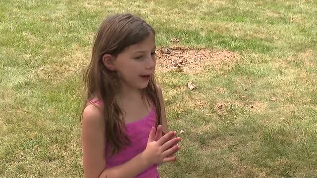 Nj: Neighbor Saves Girl From Fox Attack