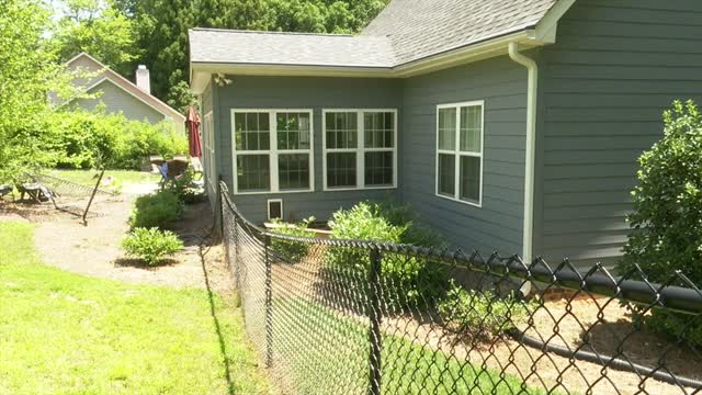Nc: Woman Attacked In Bed By Rabid Fox